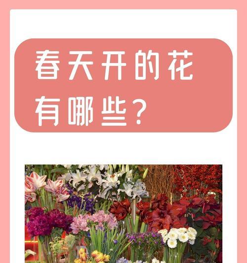 开出花象征着什么？它的含义有哪些？