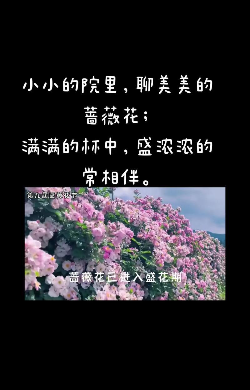 爱情的花语有哪些？哪些花象征爱情？