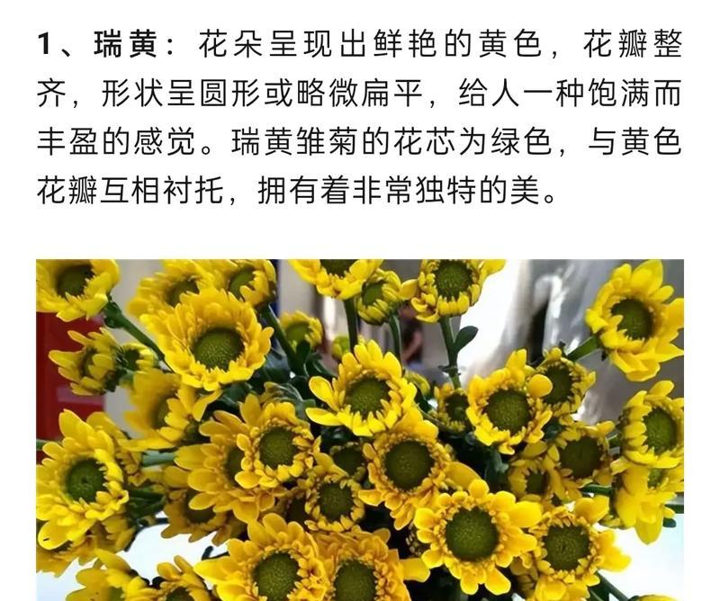 不同种类的花各自有什么含义？
