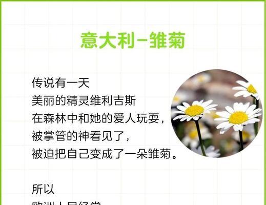国花代表什么含义？各国国花的象征意义有哪些？