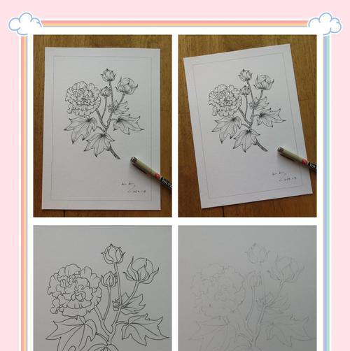 芙蓉花寓意和花语是什么？象征着什么？