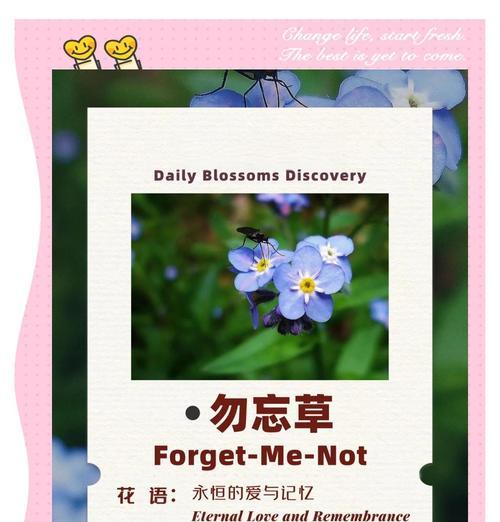 花语的真正含义是什么？一朵花能表达哪些情感？
