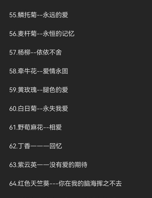 花语的真正含义是什么？一朵花能表达哪些情感？