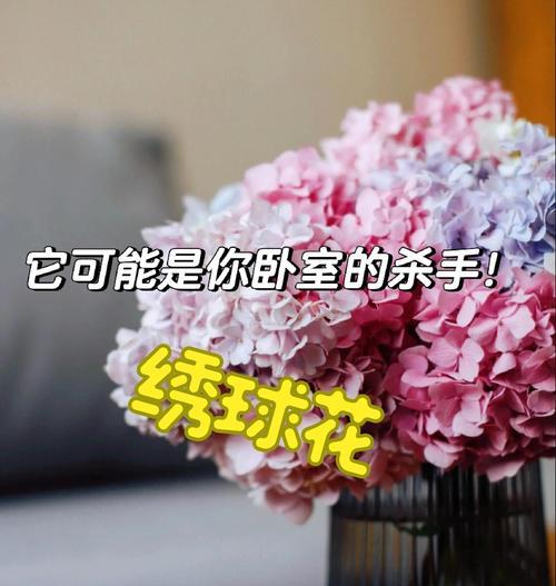 刺客的花象征什么？哪些花代表刺客？