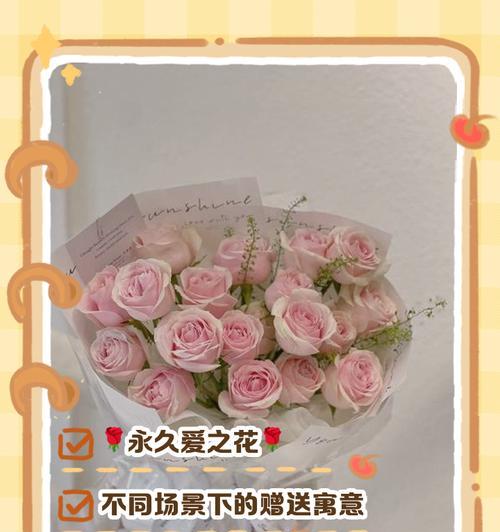 粉色玫瑰的花语含义是什么？