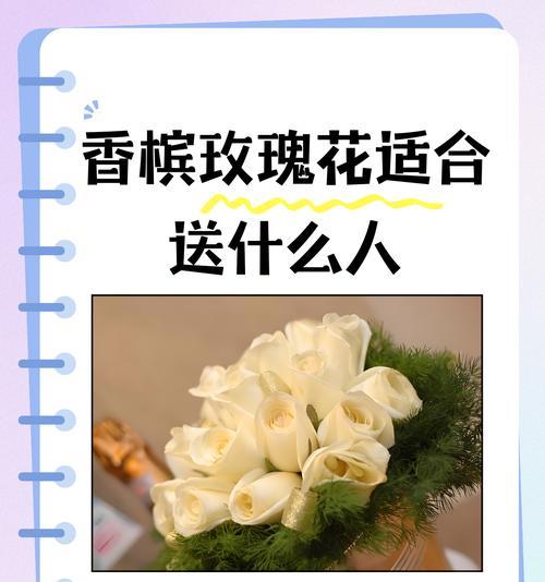 粉色玫瑰的花语含义是什么？