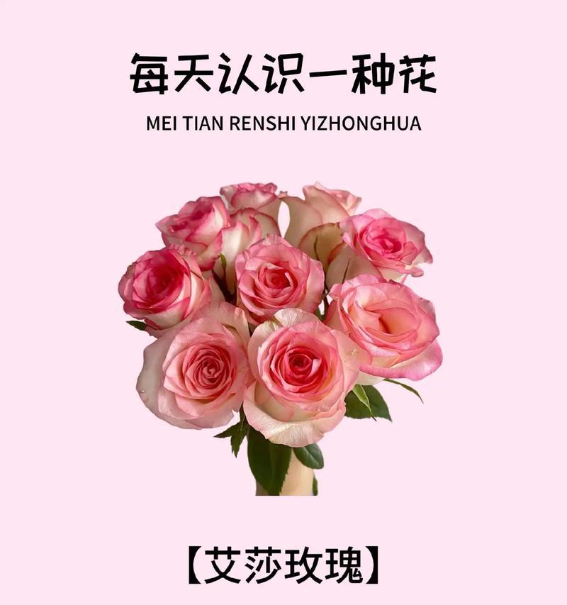 诗句中的花寓意有哪些？如何选择合适的花束？