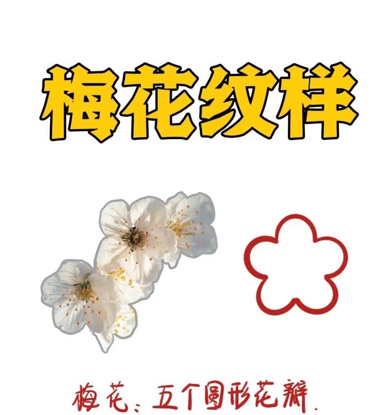 无芯花象征着什么？了解无芯花的深层寓意