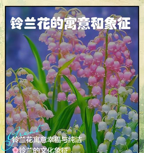 无芯花象征着什么？了解无芯花的深层寓意