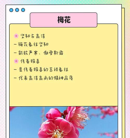 哪些花象征着遗忘？它们代表了什么含义？