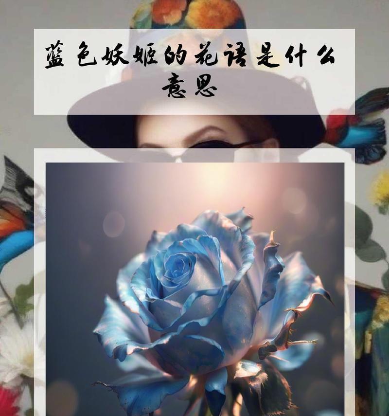 蓝色妖姬花语有何含义？代表了什么？