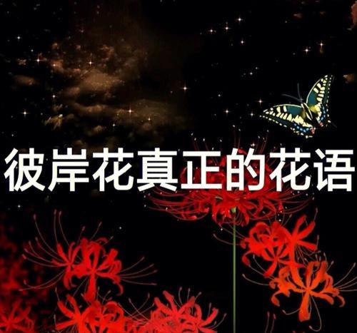 彼岸花花语背后有何深意？彼岸花的象征意义是什么？