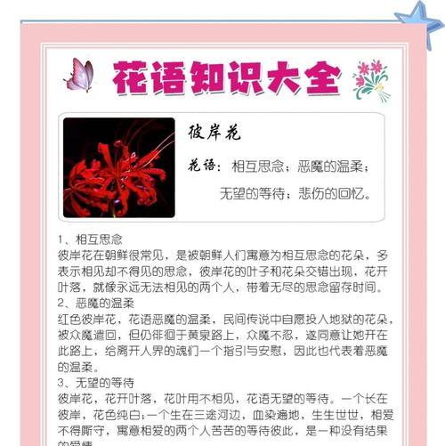 彼岸花花语背后有何深意？彼岸花的象征意义是什么？