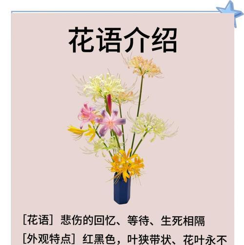 彼岸花花语背后有何深意？彼岸花的象征意义是什么？