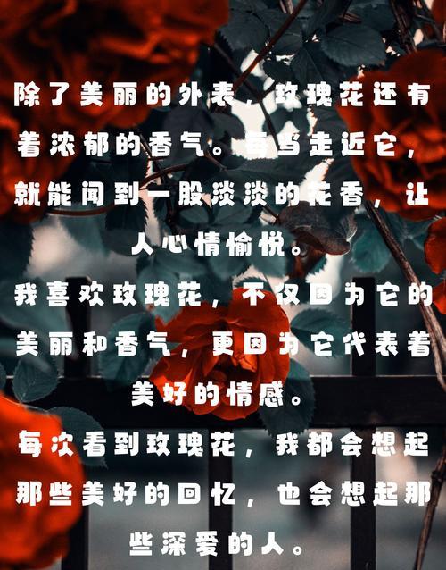 玫瑰花比喻含义的句子有哪些？