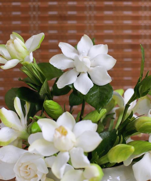 栀子花寓意的什么？栀子花的花语有哪些？