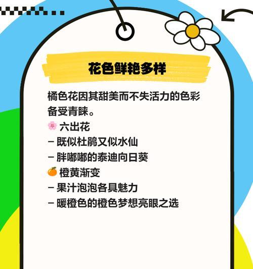 橘色花的含义是什么？