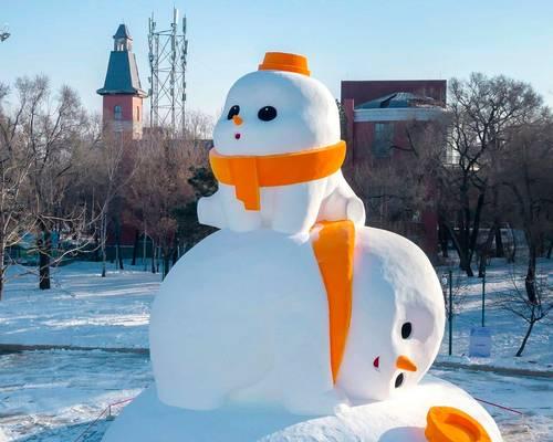 雪做的花代表什么含义？雪雕花的象征意义是什么？