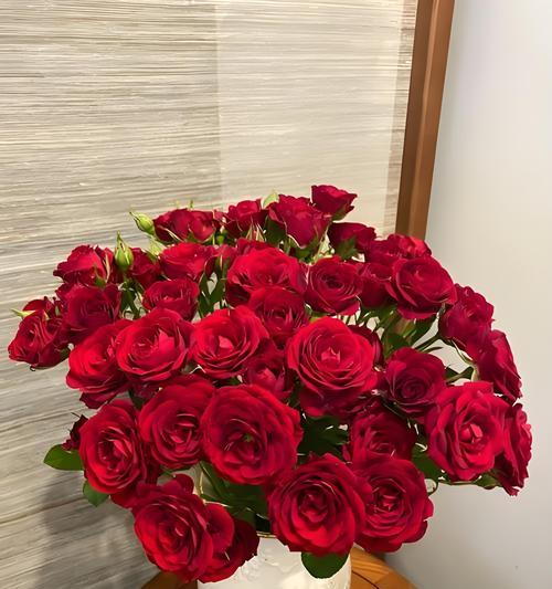 多头玫瑰的花语寓意是什么？它代表着什么？
