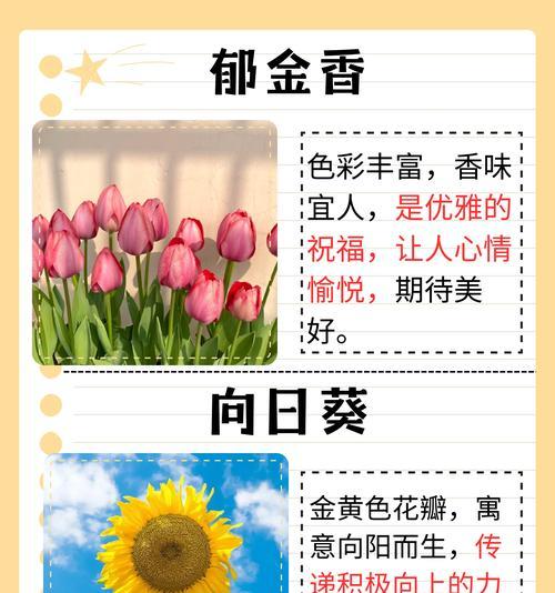 十一枝花的含义是什么？十一朵花的花语和寓意是什么？