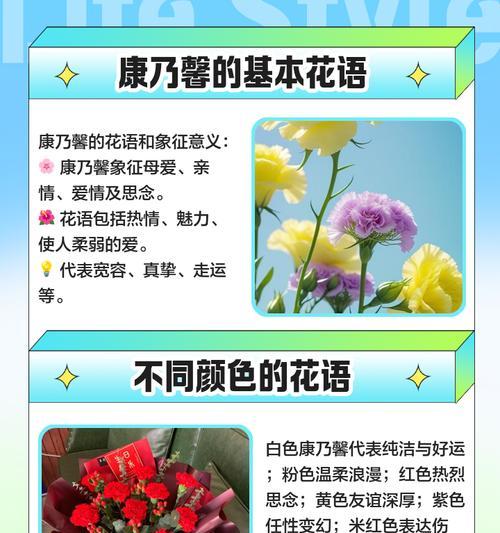 康乃馨不同颜色的含义是什么？