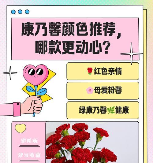 康乃馨不同颜色的含义是什么？