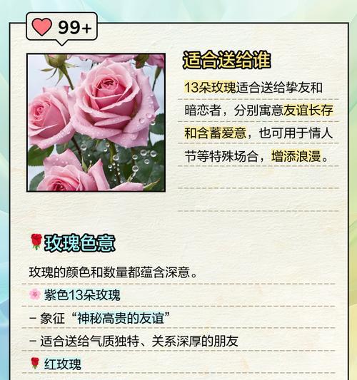 玫瑰花有哪些寓意友情的含义？