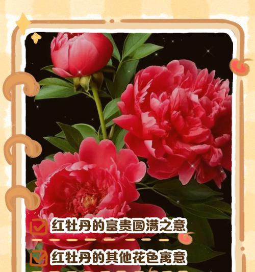 浓香的花代表什么含义？浓香的花有何寓意？