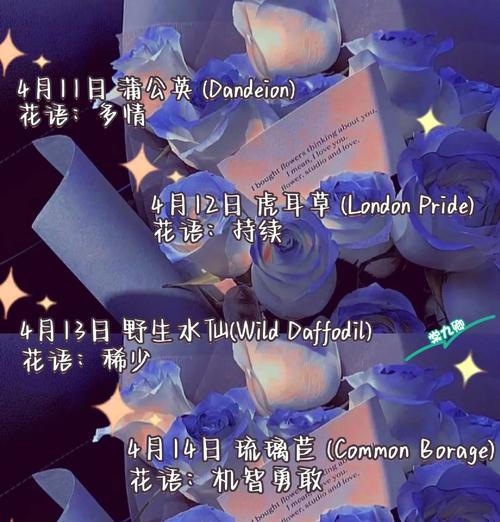 唯花一词的含义是什么？它在文学中如何被运用？