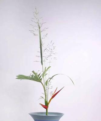 立花在花艺设计中的作用是什么？