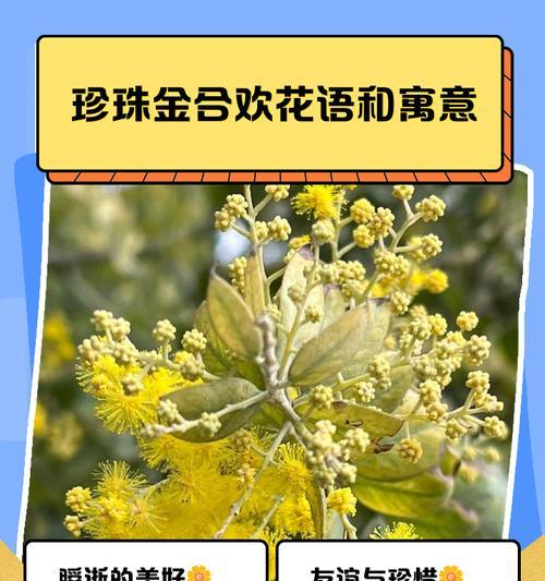 送绿花代表什么含义？它在社交场合中传达了什么信息？