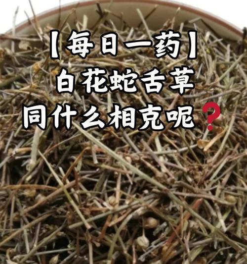 蛇花的文化象征是什么？蛇花在不同文化中有哪些意义？