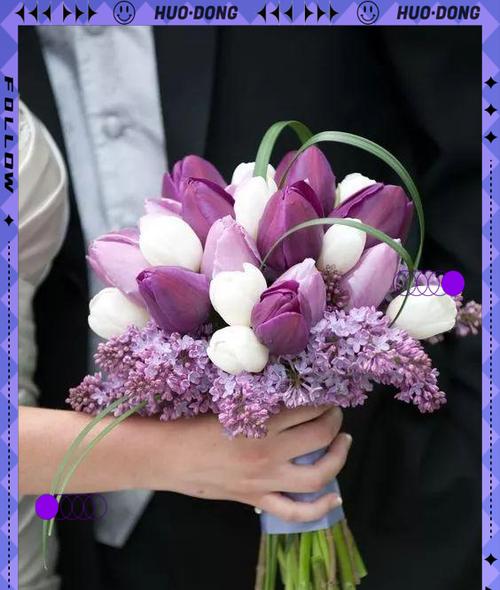 哪些花朵象征傲娇？它们的象征意义是什么？