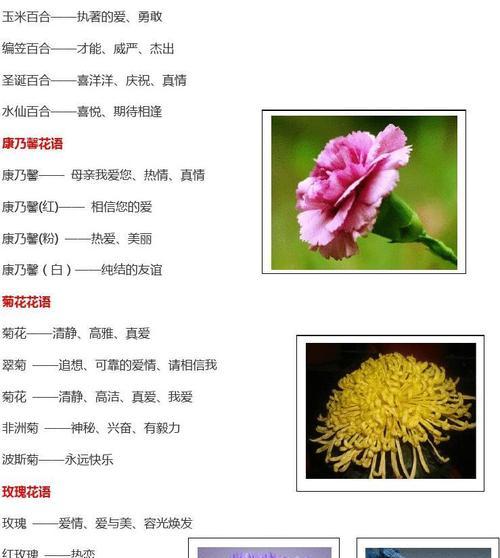 花间醉的象征意义是什么？