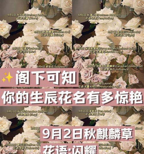 花间醉的象征意义是什么？