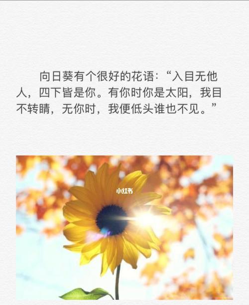 马念花的花语是什么？