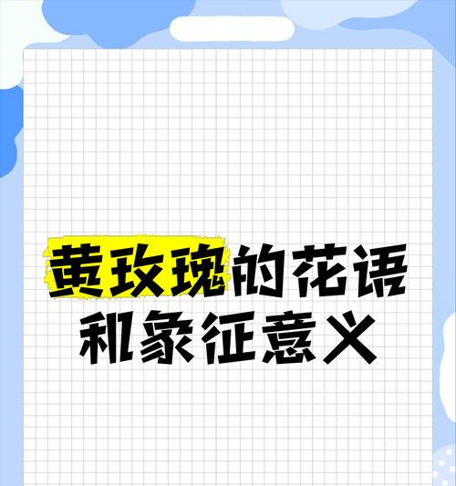 送玫瑰花的深层含义是什么？玫瑰花代表了哪些情感？