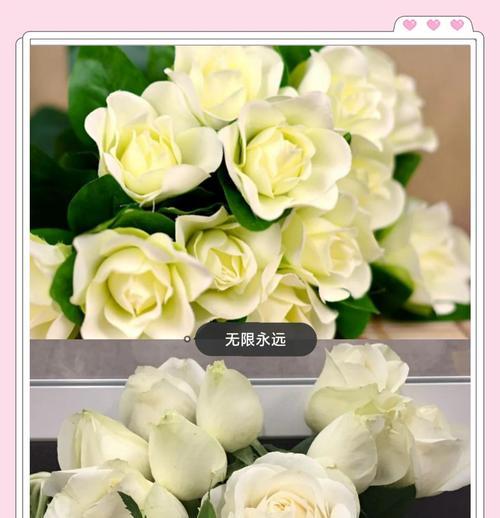 白雪公主花代表什么意义？白雪公主花的象征是什么？