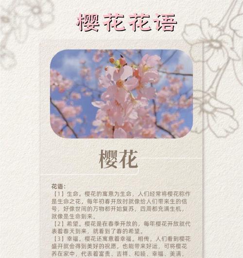 握不住的花的花语含义？在花语中代表了什么？