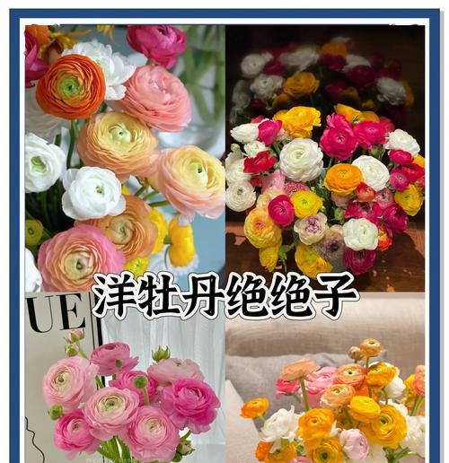 你知道寓意最好的花是什么吗？