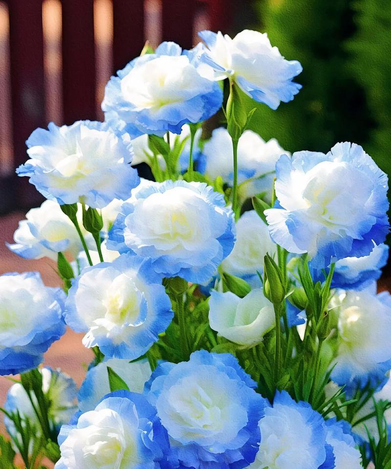 自然花的含义是什么？自然花象征着什么？