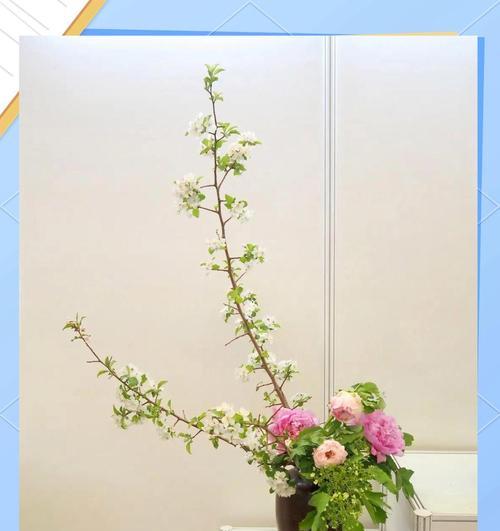 现代花艺的创新与意义是什么？