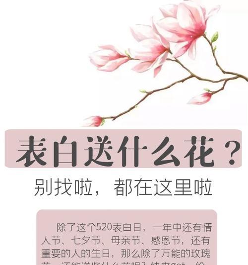 用花表白有哪些寓意句子？它们各自代表了什么意义？