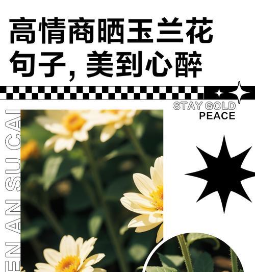 用花表白有哪些寓意句子？它们各自代表了什么意义？