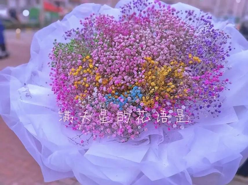 紫色满天星花语特别含义是什么？紫色满天星象征意义何在？