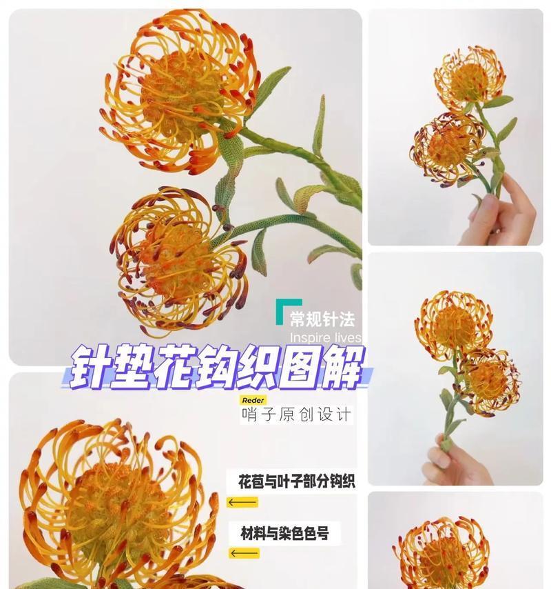 针垫花花语通常表达什么情感？针垫花的花语含义是什么？