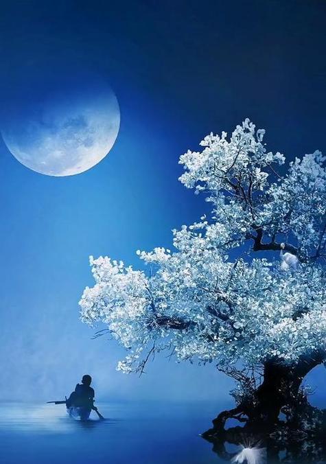 风花雪月中的花代表了什么？