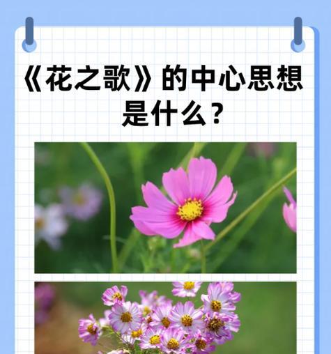 生物学象征的花有哪些？它们各自代表什么？
