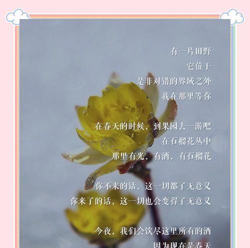 冰凌花的爱情含义及其象征意义是什么？
