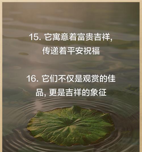 富贵竹有哪些象征品种？它们各自代表什么意义？